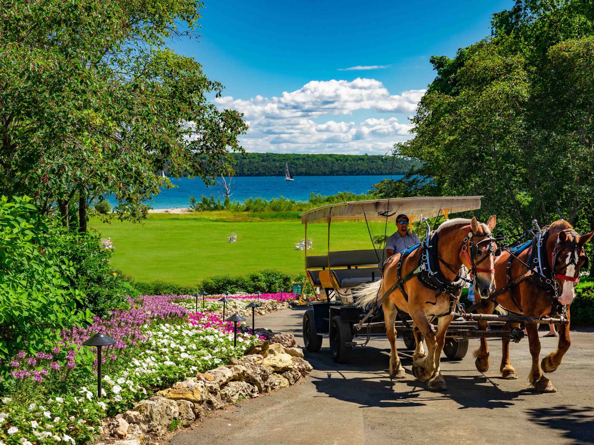 Mackinac Island | A horse and carriage with a driver on Mackinac Island Mackinac Island | A horse and carriage with a driver on Mackinac Island