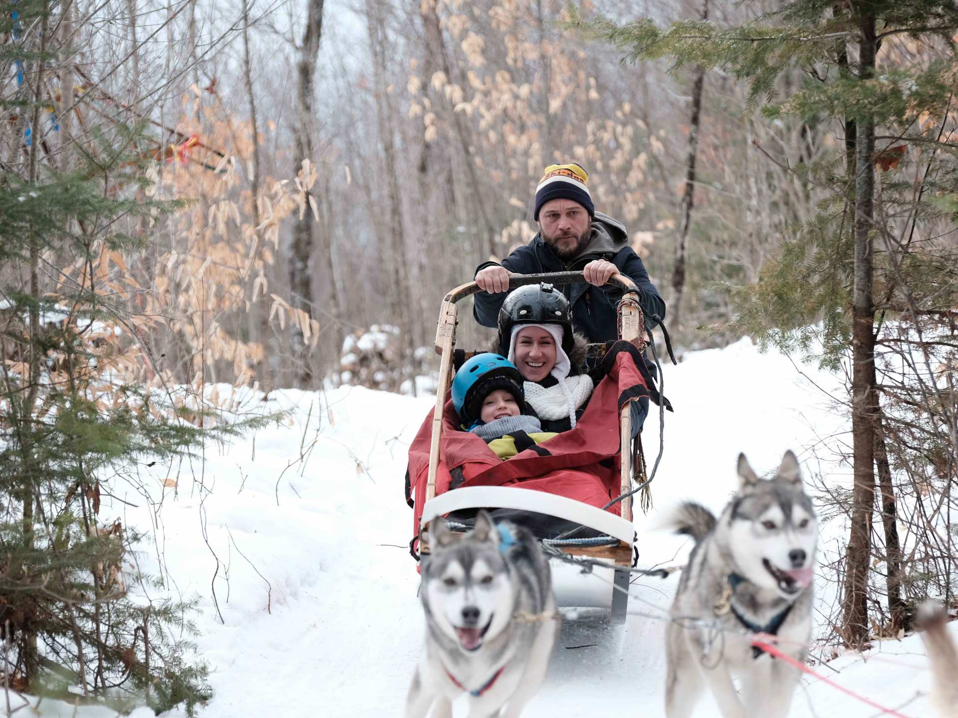 Quebec dogsledding | Eric Pichette dogsledding