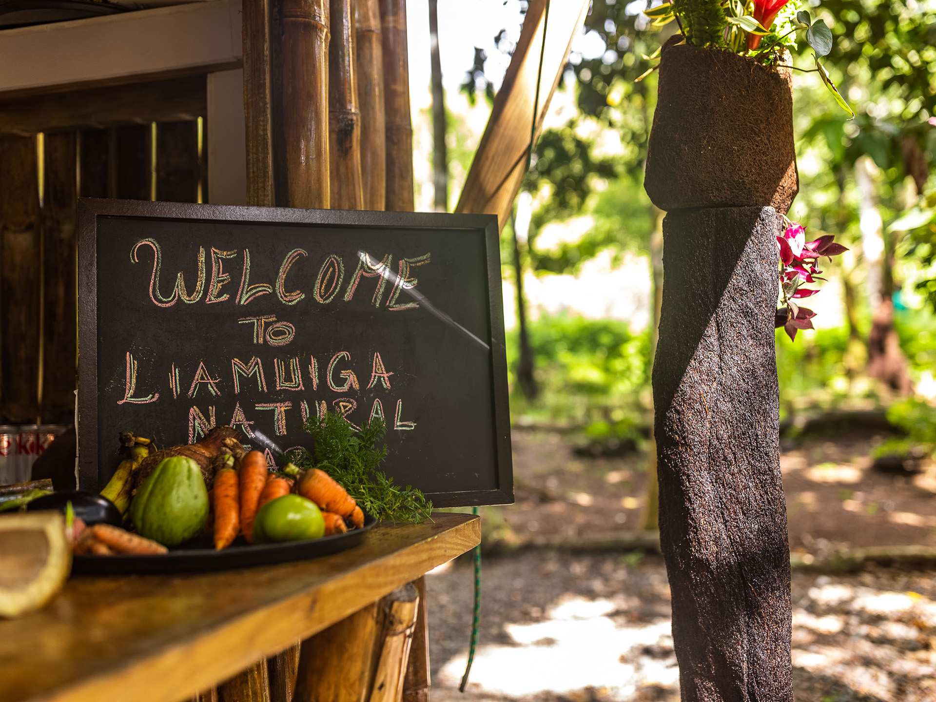 Welcome to Liamuiga Natural Farms