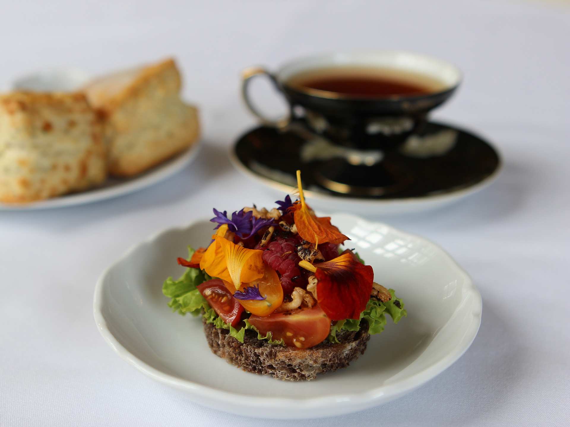 The Bruce Hotel | An intricately decorated tartare at The Bruce Hotel