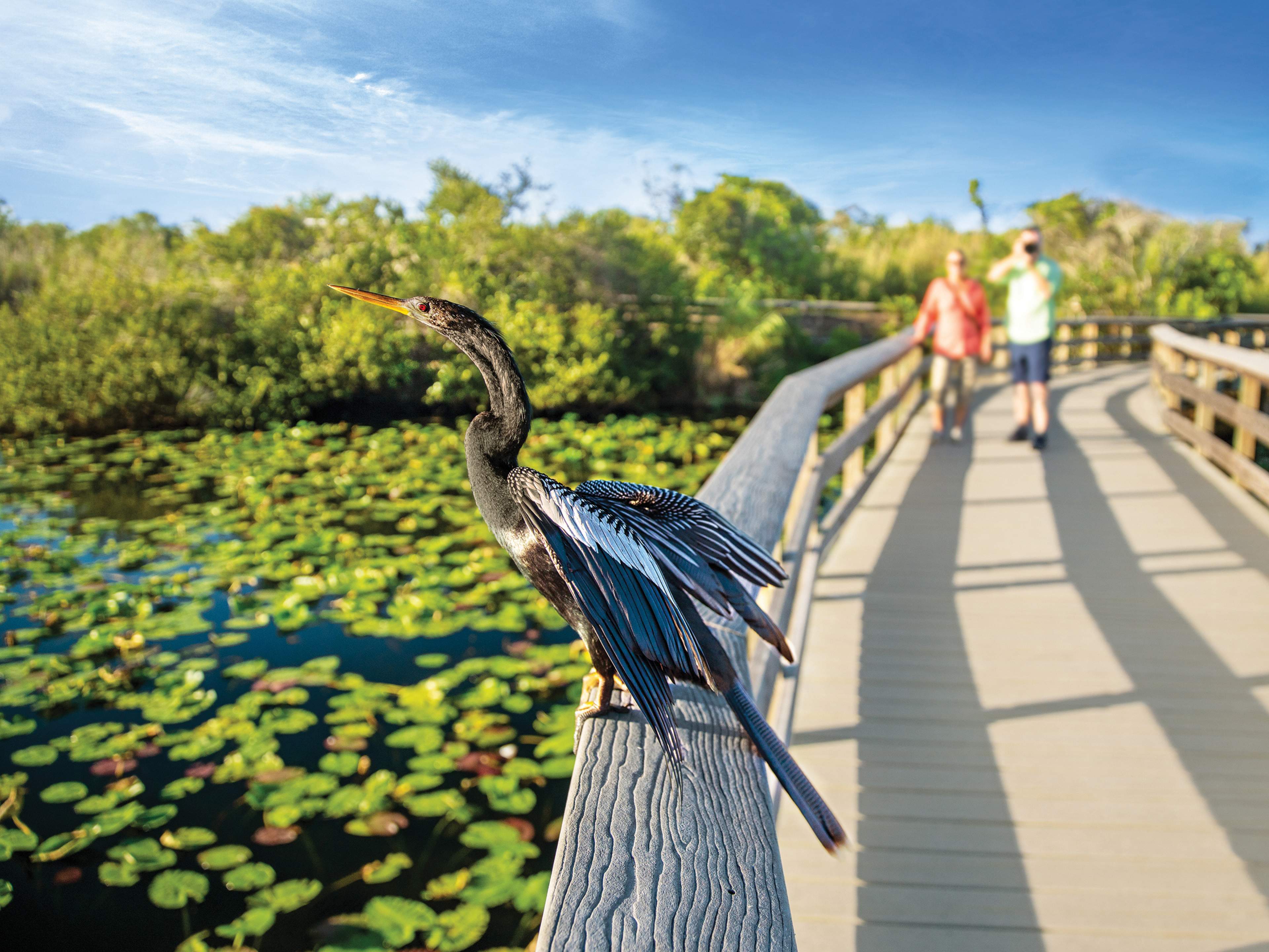 the-best-islands-in-the-florida-keys-escapism-to