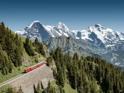 Switzerland Swiss Travel Pass | Train to Schynige Platte in Switzerland