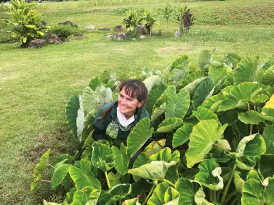 Ka&lsquo;ōiwiokalani Karosu in a lo'i or taro patch