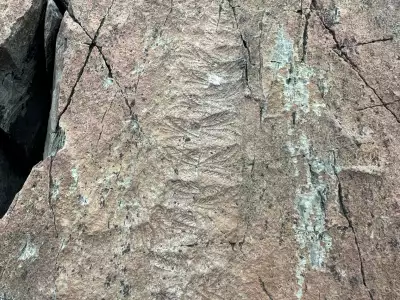 Newfoundland travel | Fossils at Mistaken Point in Newfoundland and Labrador