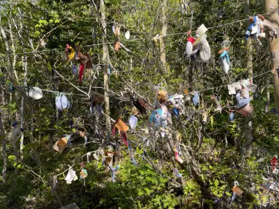 Newfoundland travel | The spirit garden at the Beothuk Interpretation Centre in Newfoundland and Labrador