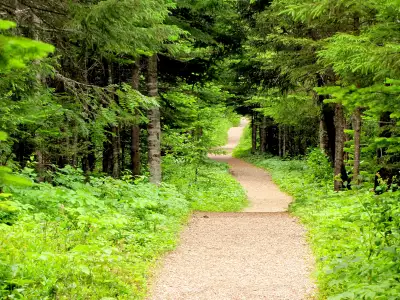 Newfoundland travel | The trail at the Beothuk Interpretation Centre in Newfoundland and Labrador
