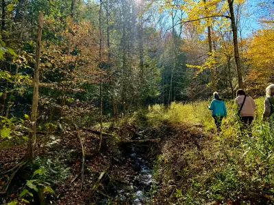 BTG Wellness Soulful Radiance Retreat | Hiking at Ecology Retreat Centre