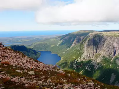 2026 Travel trends | A landscape in Newfoundland