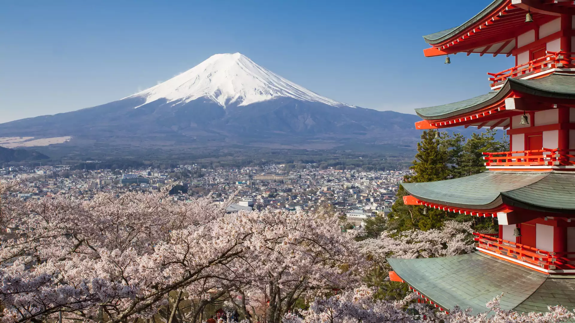 Hacking a path up Mount Fuji | Escapism TO