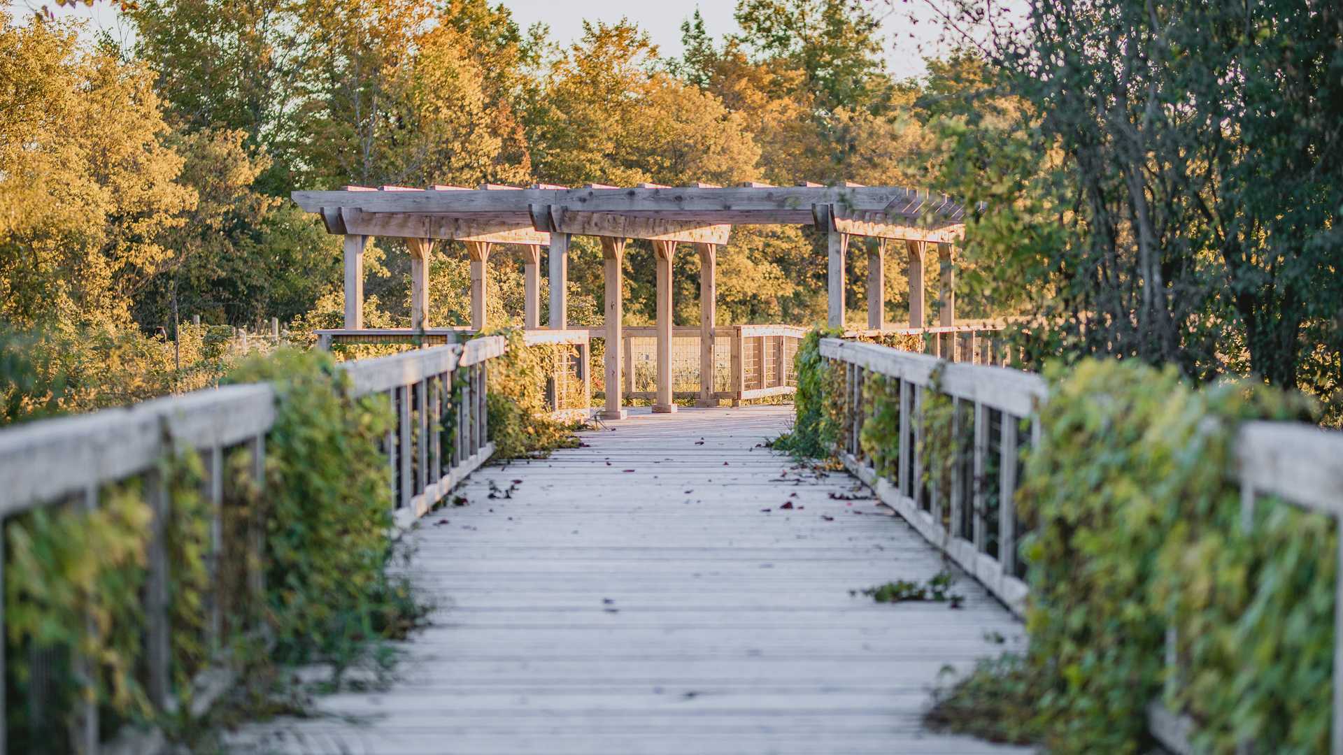 Boundless nature at Rouge National Urban Park | Escapism TO