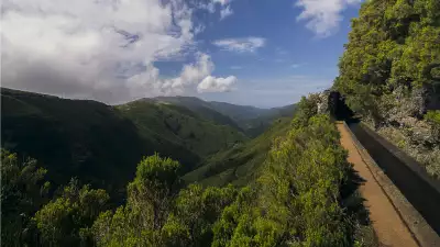 Levada do Alecrim