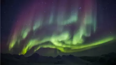 See the Northern Lights