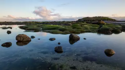 Unplug and unwind on Horby Island