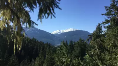 Zipline in Whistler