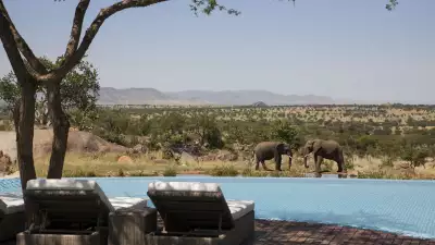Four Seasons Serengeti, Tanzania