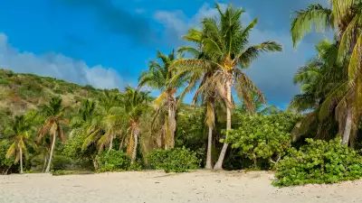 Happy Bay, St. Martin