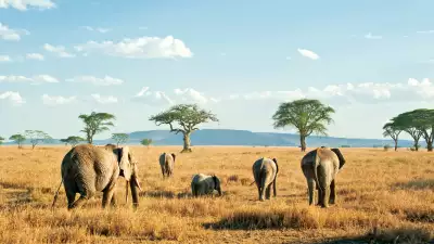 Serengeti National Park