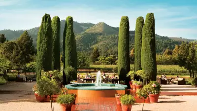 California vineyards