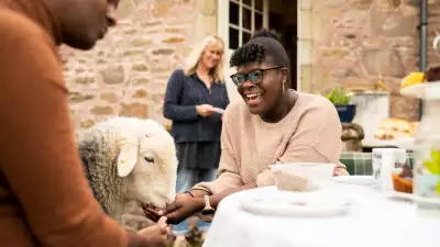 Airbnb Animal Experiences