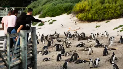 Airbnb Animal Experiences