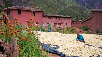 Parwa community farm, Peru