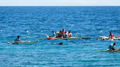 Bay of Donsol, Phillipines