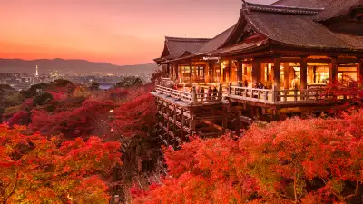 Accessible Japan 2020 Olympics