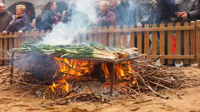 Cal&ccedil;otada Festival