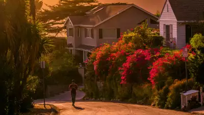 Hollywood Hills, Los Angeles