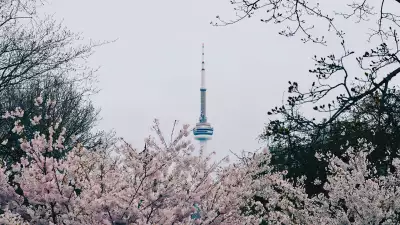 Things to do in Toronto in quarantine
