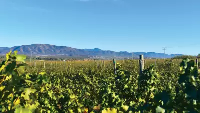Valle de Guadalupe, Mexico