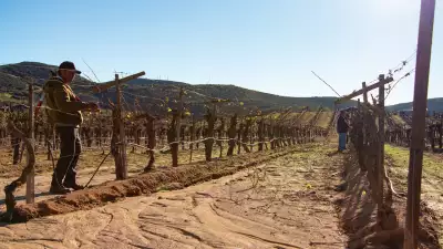Valle de Guadalupe, Mexico