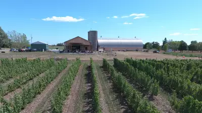 Best Prince Edward Wineries | Hinterland vineyards