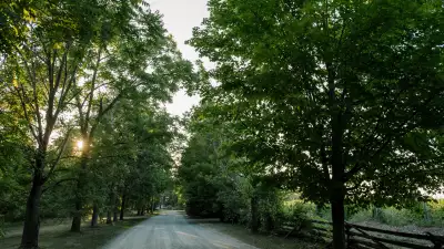 Best Prince Edward Wineries | Trees at Grange of Prince Edward County