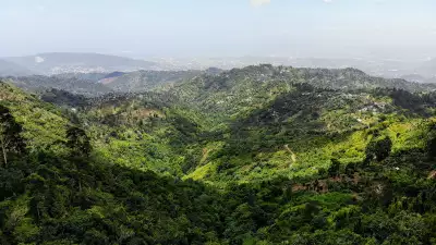 The Caribbean, Mexico and Central America reopen borders | Jamaica