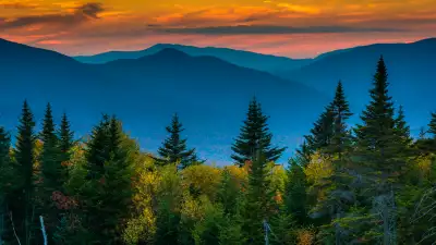 New Hampshire restaurants and activities | The White Mountains looming in the distance behind the trees