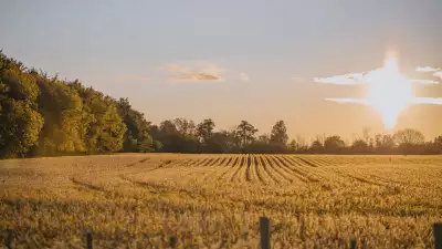 Rouge National Urban Park | Sunset trail at Rouge National Urban Park