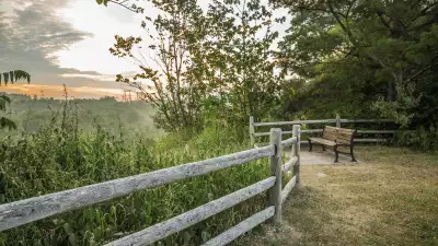 Rouge National Urban Park | Vista lookout at Rouge National Urban Park