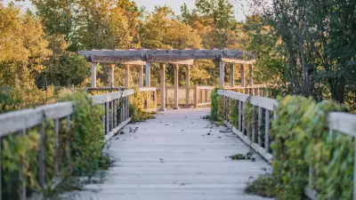 Rouge National Urban Park | Board walk trail at Rouge National Urban Park