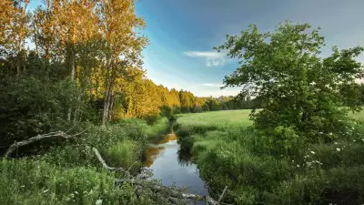 Rouge National Urban Park | Coyote trail at Rouge National Urban Park