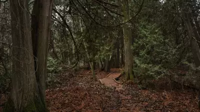 Rouge National Urban Park | Forest hike at Rouge National Urban Park