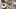 Best restaurants in Brixton Market, London | Kricket