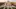 best things to do in Mexico City on any budget | Palacio de Bellas Artes
