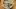 Restaurants in Victoria, B.C. plus hotels, activities and more | artickoke barigoule at Stage Wine Bar