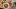 Restaurants in Victoria, B.C. plus hotels, activities and more | French share plates at Stage Wine Bar