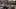 Sheraton Centre Toronto Hotel | Dual Citizen