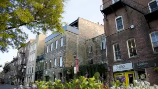 Winging It: Stratford, ON