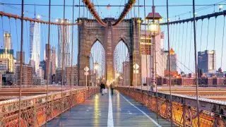 Winging It: Brooklyn, New York