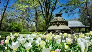 Prospect Park