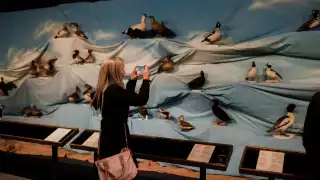New Brunswick Museum